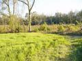 #5: Looking South from the confluence point