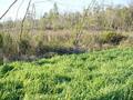 #6: Looking West from the confluence point