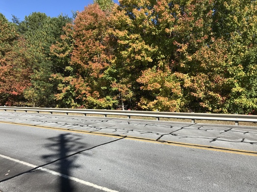 #1: Site of 35 North 83 West, with powerline shadow, in the middle of the road, looking northeast. 