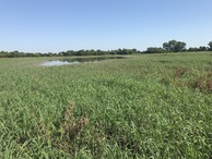 #5: View to the north from the confluence point showing the open water in the mid-distance. 