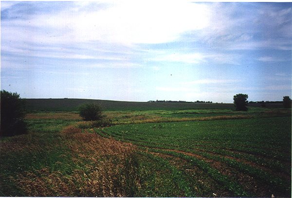 Another picture of the confluence