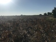 #6: View to the east from the confluence point. 