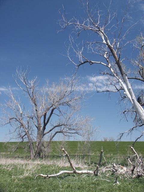 View near the confluence