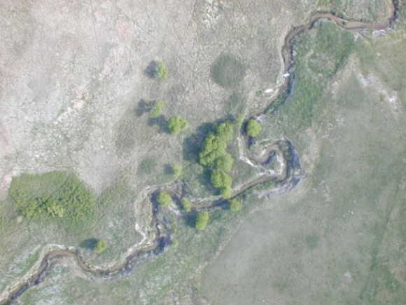 Aerial view of confluence point and the creek.