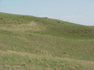 #1: South Dakota-Nebraska fence line, looking south from confluence.