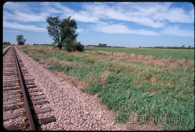 The confluence, near the second fencepost to the left.