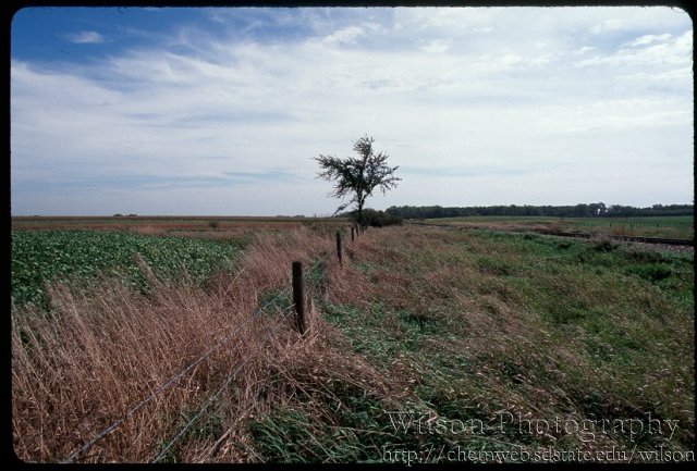 Looking East.