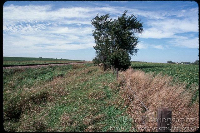 Looking West.