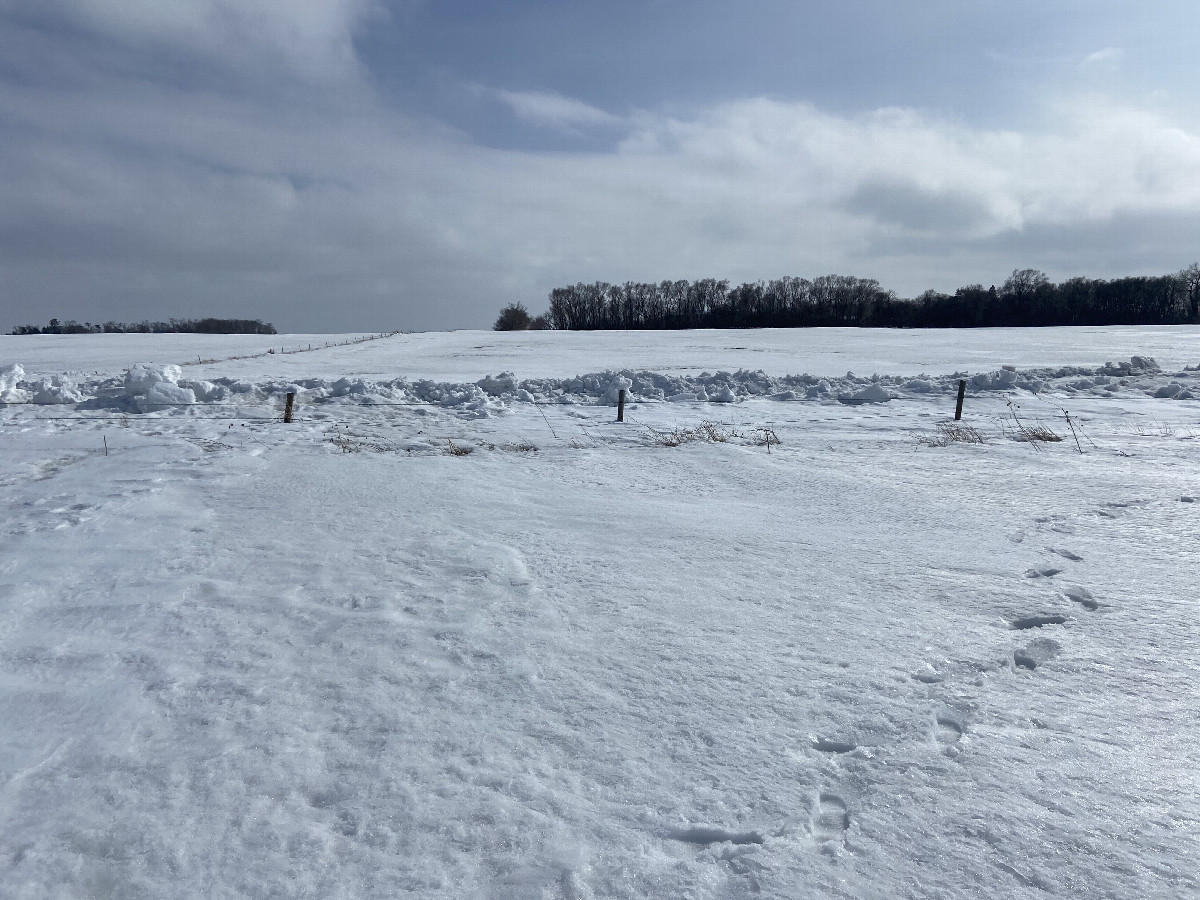 View the south from the confluence point with my footprints. 