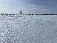 #5: View to the west from the confluence point.