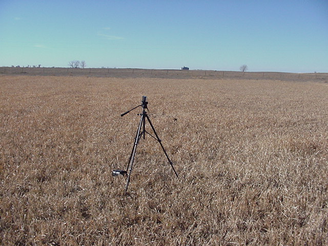 At the site looking West.