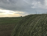 #9: Hay bales en route to the confluence point. 