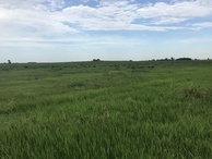 #6: View to the east from the confluence point. 