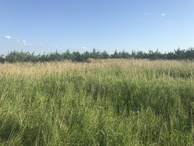 #7: View to the south from the confluence point. 