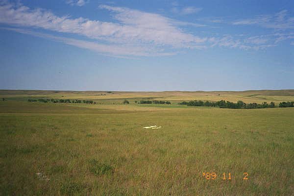 Everything around this site looks a lot like this -- lots of grass and sky, few trees.