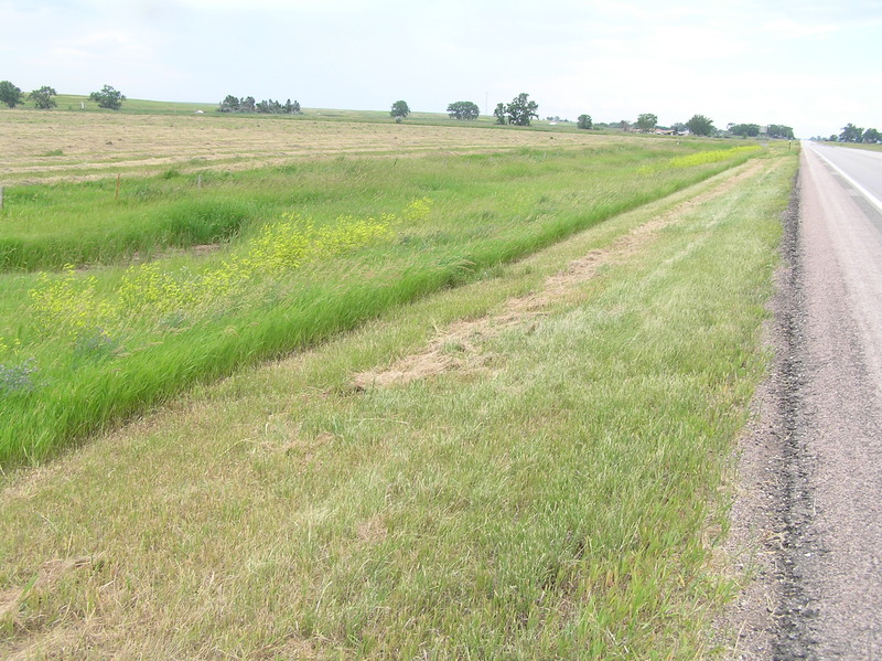 Site of 44 North 103 West, in the foreground, looking due east.