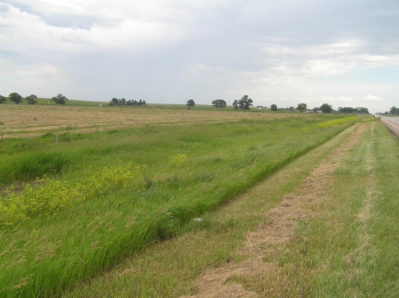 View to the east from the confluence.