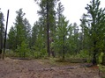 #2: View North