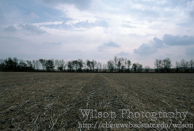 Looking South from the confluence.