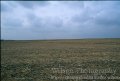 #5: Looking West from the confluence.