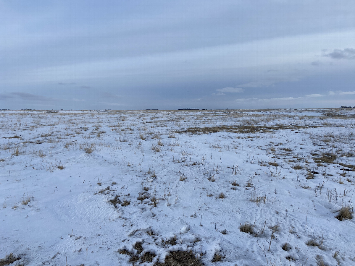 View to the south from the confluence point. 