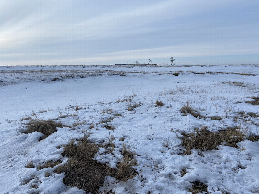 #1: View of the confluence, in the foreground, looking northwest.  