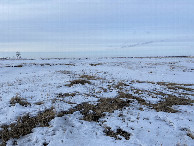 #2: View to the north from the confluence point.