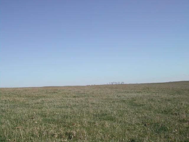 North