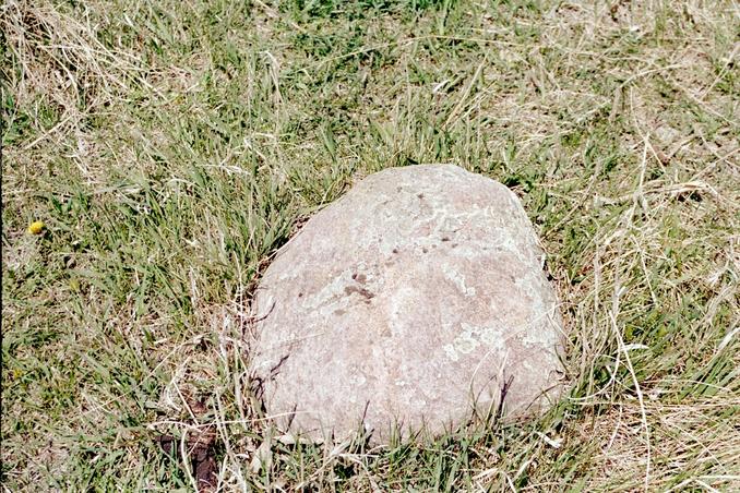 the stone