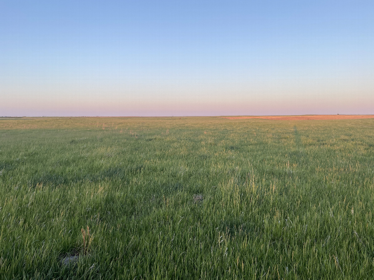 View to the east from the confluence point. 