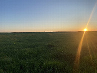#5: View to the west from the confluence point. 