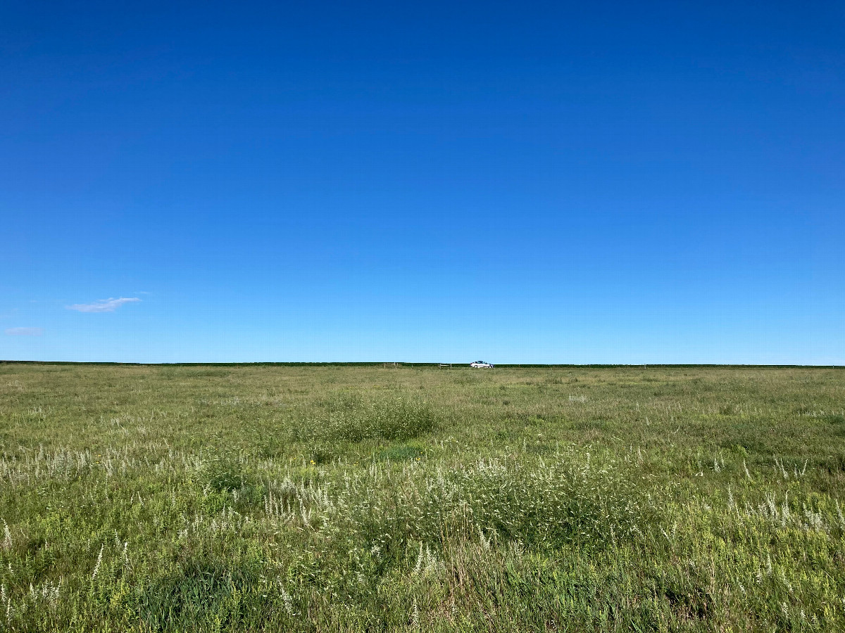 Looking west, toward the nearby gravel road