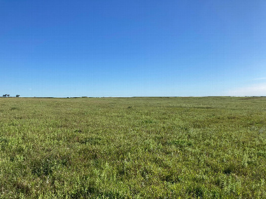 #1: Looking northeast at 45N 99W, located in the right center foreground