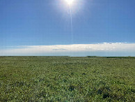 #3: Looking east