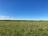 #4: Looking south, toward a soybean field