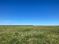 #5: Looking west, toward the nearby gravel road