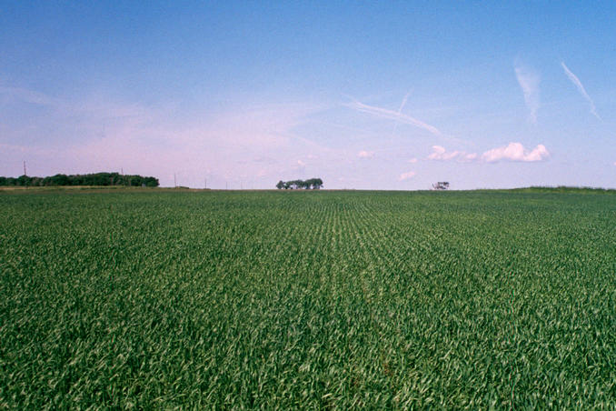 view west from the confluence