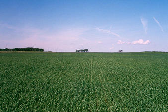 #1: view west from the confluence