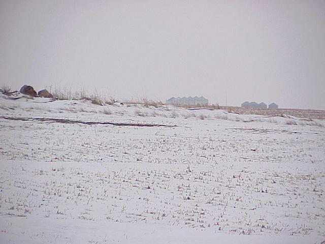 View to the west from the confluence showing the nearest structures.