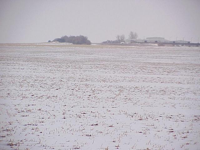 View to the north from the confluence site.