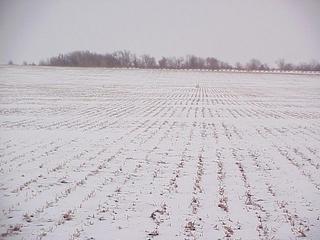 #1: View of the confluence site, looking east.