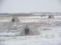 #8: Mystery animal shelters about 2.5 km northwest of the confluence.