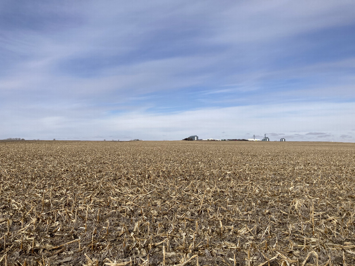 Looking north from the confluence