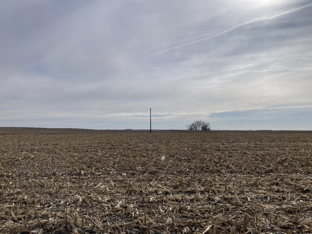Looking south, toward the road
