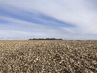 #3: Looking east, toward the nearest farm home (behind the trees)