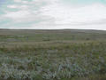 #3: Looking west and the county line fence.