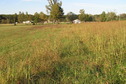 #5: View to the north from the confluence.