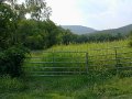 #3: Looking west toward the confluence