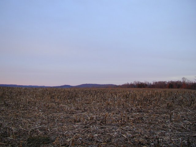 North: Just a field.