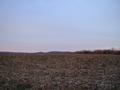 #3: North: Just a field.